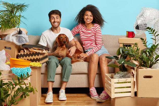 男人一对夫妇坐在沙发上 狗被纸板箱包围家庭包装关系