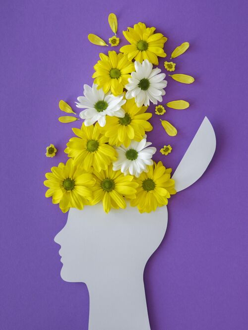 装饰乐观主义概念与鲜花的顶视图分类平面布局花卉花卉