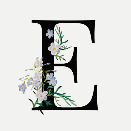 花字体花卉字母e花植物学开花