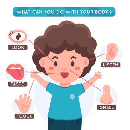 男孩你能用你的小男孩的身体插图做什么信息学习身体部位