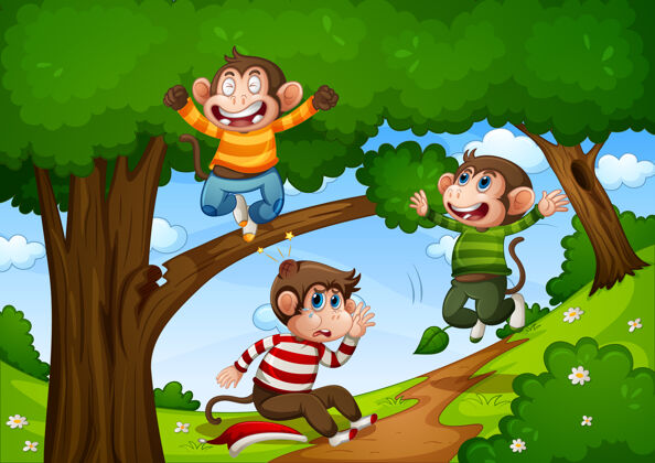 运动三只猴子在丛林中跳跃野生动物生活衬衫