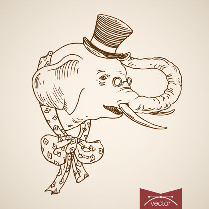 线野生动物大象头衣服配件在圆筒帽子蝴蝶结与波尔卡圆点领带设置人帽子