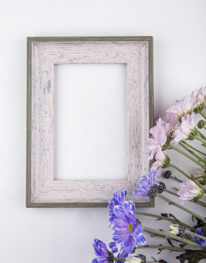 紫色白色背景上美丽的淡粉色和紫色雏菊花的顶视图 带有复制空间花复制雏菊