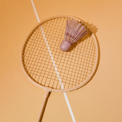 简单俯瞰羽毛球球拍上的羽毛球羽毛球俯视图设备
