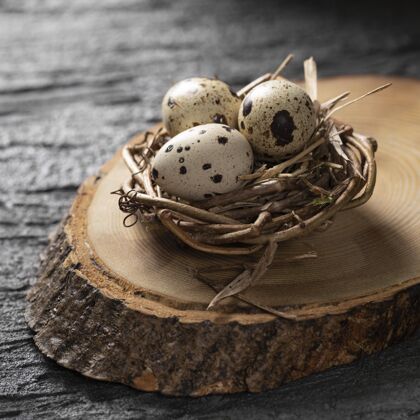 庆祝高角度的复活节彩蛋在木板顶上的鸟巢里树枝星期天广场