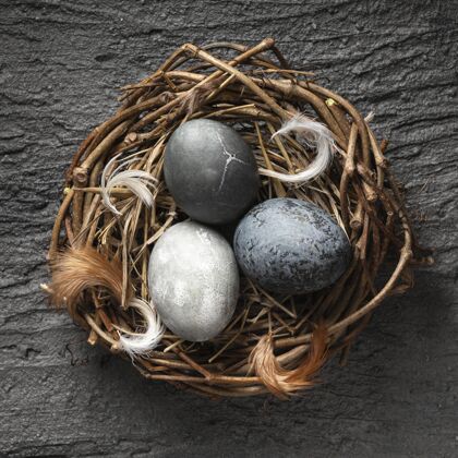 羽毛鸟巢中复活节彩蛋的俯视图 鸟巢是用带羽毛的树枝做成的复活星期天教树枝