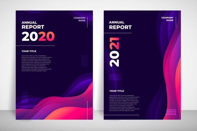 公司摘要年报模板20202021报告年度