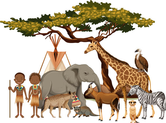 透明非洲部落有一群非洲野生动物生活野生人物