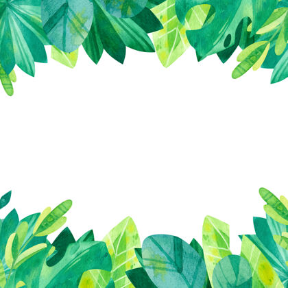 热带热带绿色水彩插画绿色森林手绘