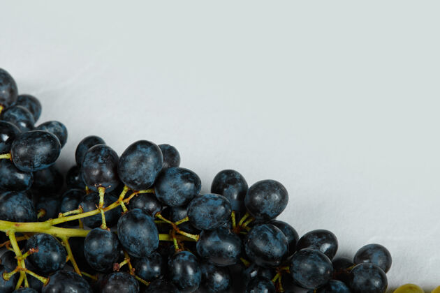 美味蓝色空间里的一束红葡萄新鲜美味浆果