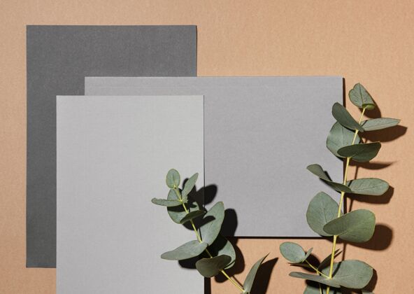 平原带植物的文具纸顶视图文具水平复制空间