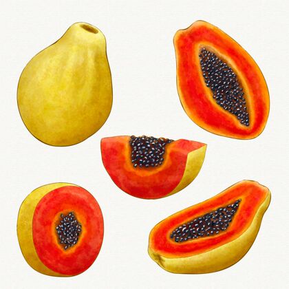 有机不同角度的木瓜果营养插图健康