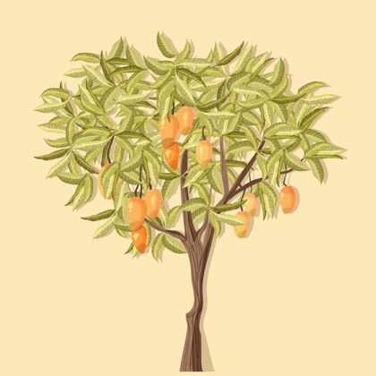 食物植物芒果树画水果美味植物