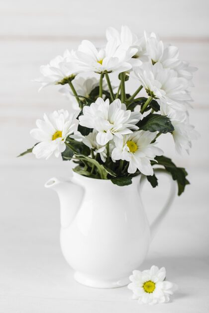 自然白色花瓶里的白色花朵春天蔬菜植物