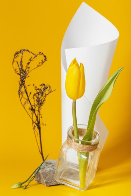 美丽把郁金香放在一个有纸锥的花瓶里植物组成开花