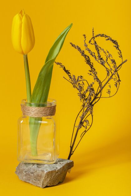 季节把郁金香放在花瓶里安排美丽春天