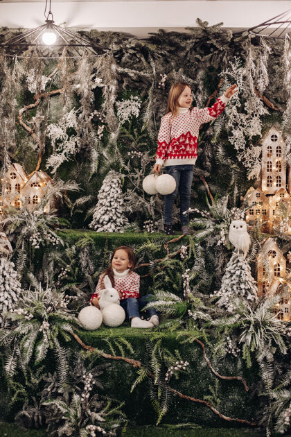 树枝站在圣诞装饰楼上的女孩圣诞毛衣组成
