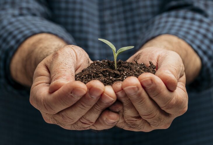 蔬菜男性手拿泥土和小植物的正面图农业雄性园艺