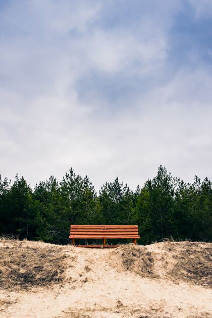 环境乌云密布的天空下 树前的长凳季节荷兰田野