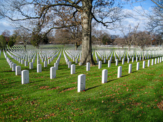 华盛顿特区阿灵顿国家公墓地方华盛顿美国