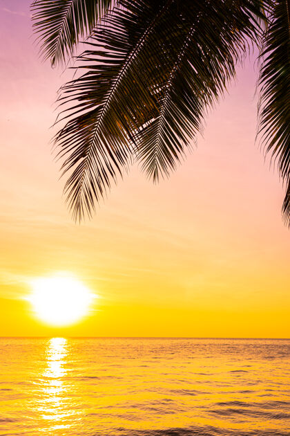 野生日落或日出时椰子树的剪影 海洋的美丽景色红色海洋天堂