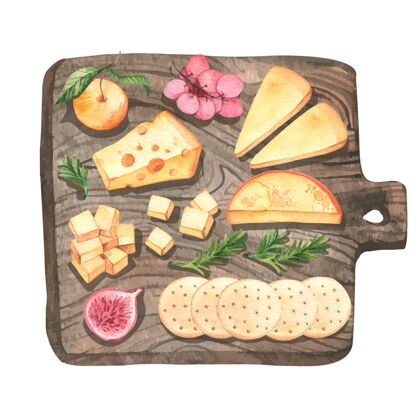 品种水彩奶酪板插图美食奶酪板插图