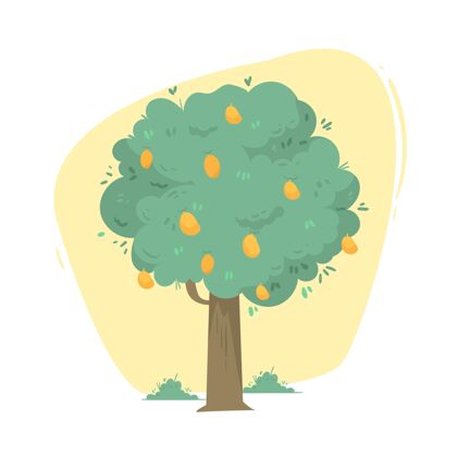 树扁平的芒果树 果实和叶子都有插图营养植物吃