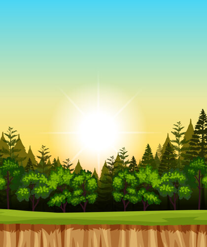 空苍茫的日出天空 森林中松树的插画场景森林前面早晨
