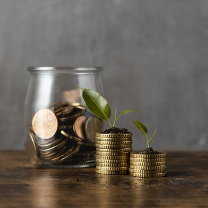资本两堆硬币的正面图 上面有植物和罐子普罗维登斯财富货币