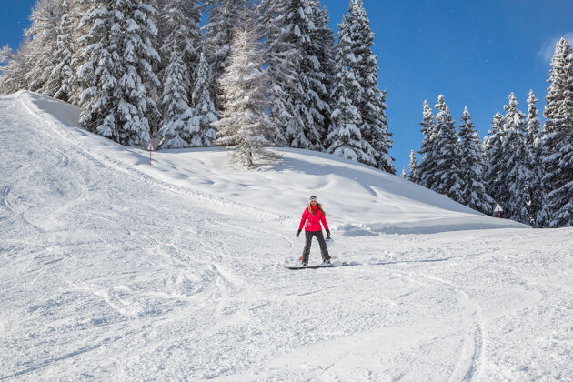 滑雪板美丽的冬天寒冷雪运动