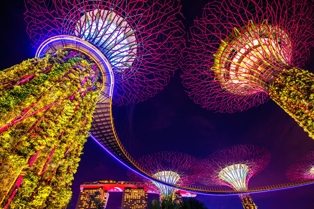 夜晚新加坡海湾花园里的超级树超级海湾奇怪