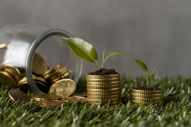 钱草地上两堆硬币的正面图 上面有罐子和植物财务现金罐子