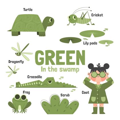 孩子绿色和英语词汇集集合词汇教育者