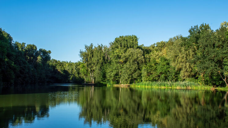 明亮在摩尔多瓦的基希讷乌 一个湖面上倒映着许多绿树自然栅栏枫树