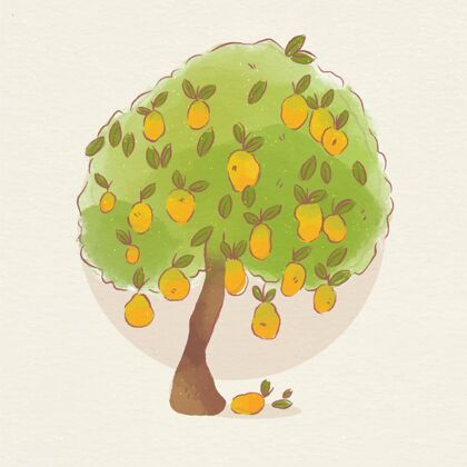 美味水彩画植物芒果树与水果树饮食营养