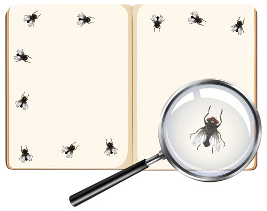 教育苍蝇昆虫在空白书页上用放大镜隔离在白色背景上动物空生物学