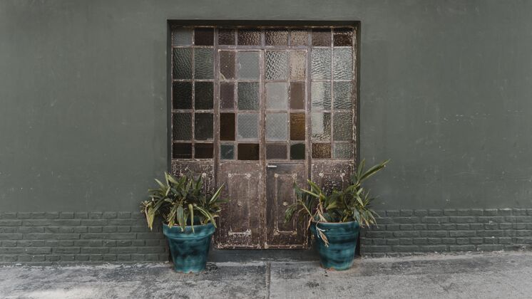 场景带玻璃和植物的房门前视图建筑城镇城市