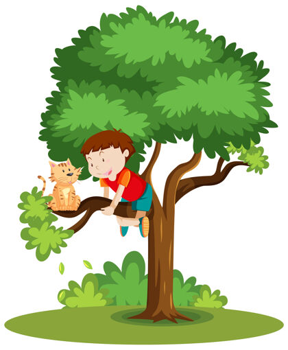 动物一个男孩爬上去帮助一只卡在树上的猫风景坐着攀岩