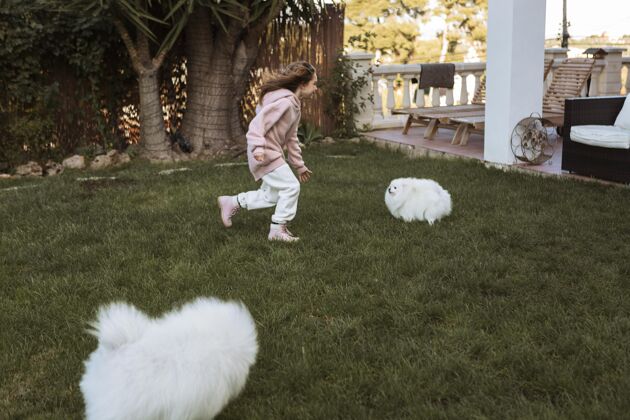 小狗女孩和可爱的白色小狗在户外玩耍可爱女孩感情