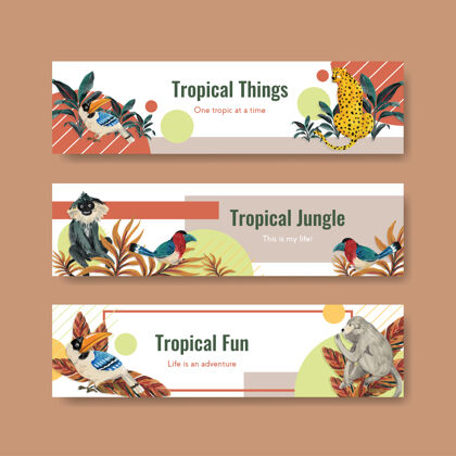 鸟类横幅与热带当代概念设计广告和营销水彩插图模板丛林水彩画异国情调