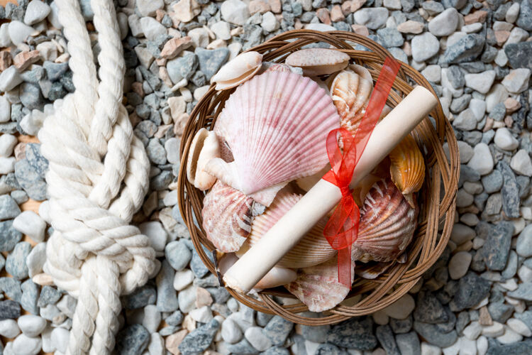 鸡舍特写镜头的贝壳 信和海上结躺在海边阳光蛤蜊旅行