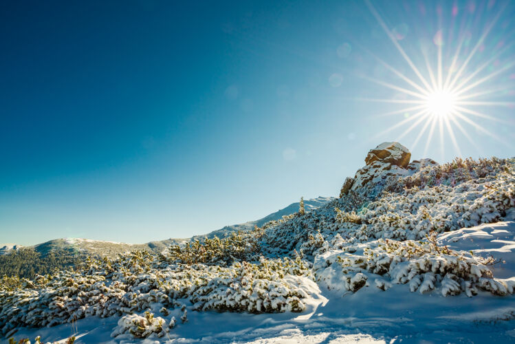 峰美丽的风景被第一场雪覆盖 喀尔巴阡山脉的巨大岩石壁架 湛蓝的天空在风景如画的乌克兰Dzebronya村附近山森林谷