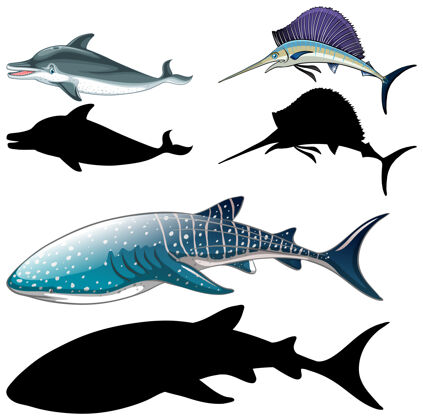鲸鱼一组鱼的角色和它在白色背景上的轮廓鲨鱼动物海豚