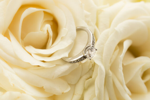 自然美丽的黄金戒指与钻石躺在白玫瑰宏观观点礼物白金爱情