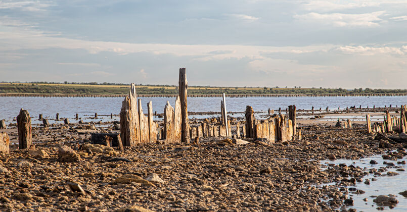 自然一个死湖和古老的盐原木从水里探出风景天空沙滩