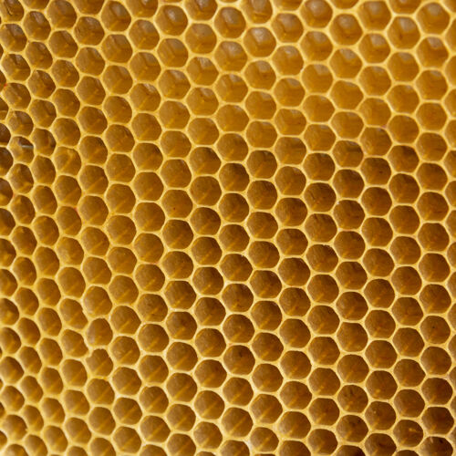 蜂窝黄色蜂窝状纹理宏背景多边形