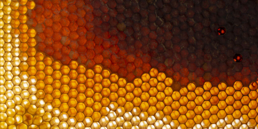 宏黄色蜂窝状纹理蜂窝纹理蜂蜜