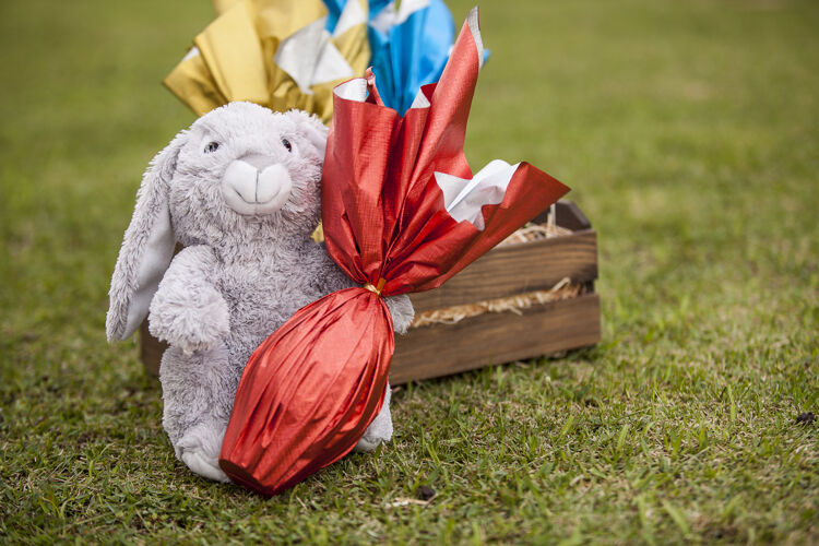 蛋一只毛绒兔子在草地上抱着一个巴西伊斯特人的蛋五月装饰春天