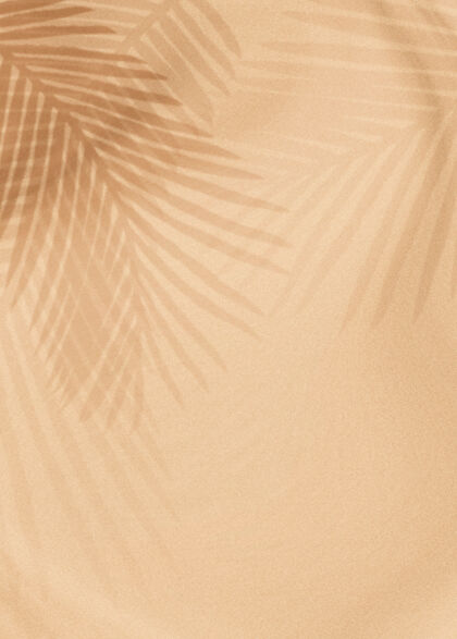 墙壁棕榈叶的影子在米色叶子叶子阴影卡片
