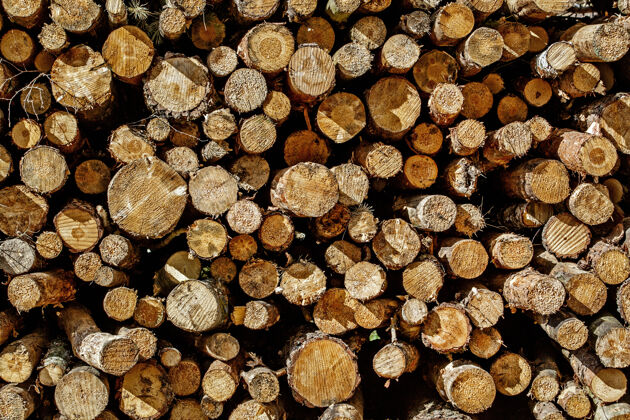 许多树桩背景 木头上的木头原木年龄切割